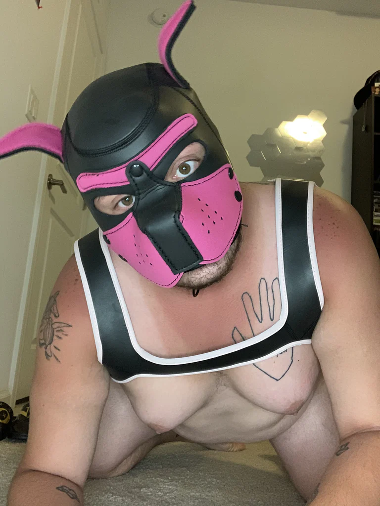 Pup Buzz