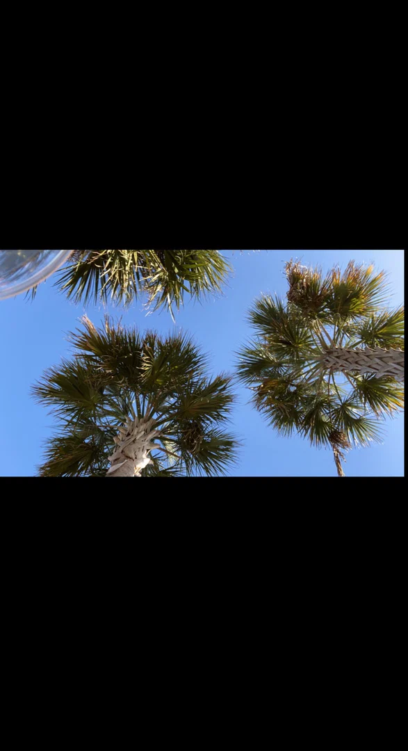 Starr profile banner