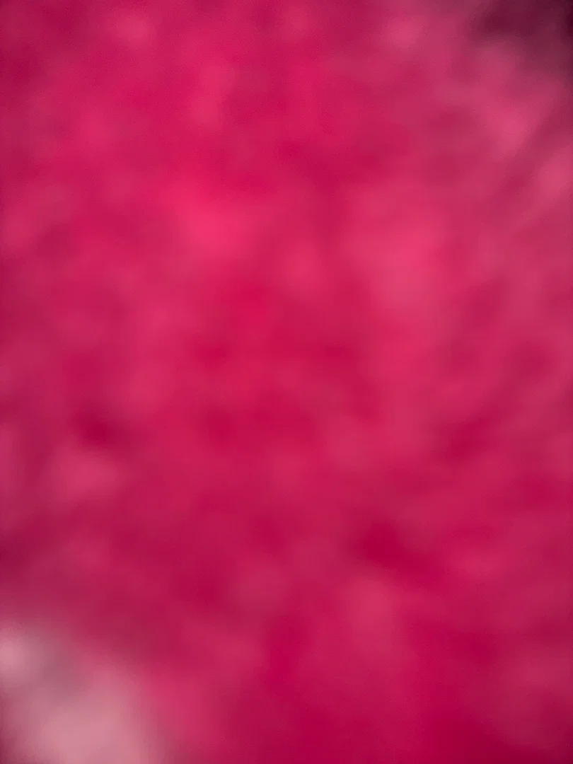 Roxana Arriagada profile banner