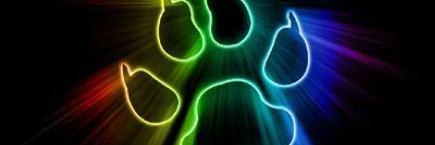 OsitoPR profile banner
