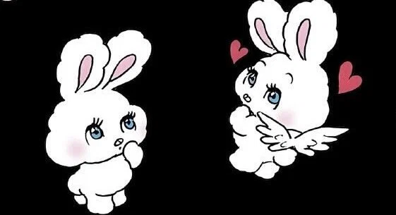 Your fav π Asian Baby Bunny π profile banner