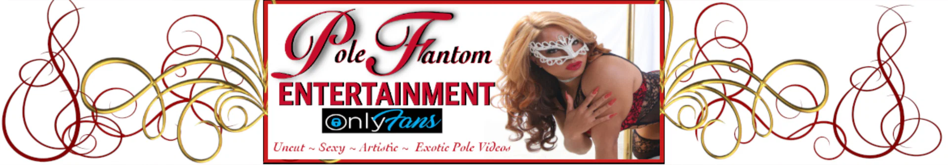 Pole Fantom Entertainment profile banner