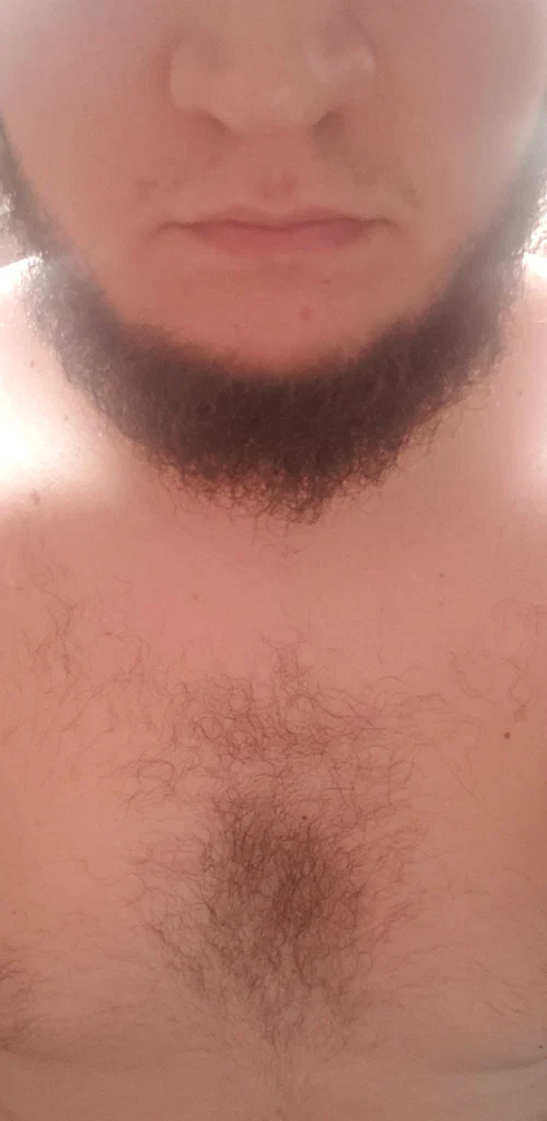 Brazilian Bear's avatar