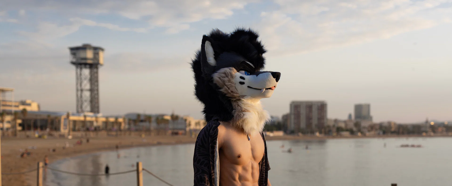 PalaceWolf profile banner