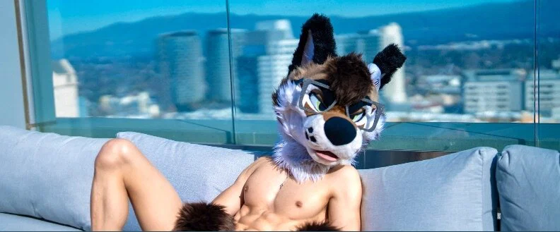 PalaceWolf profile banner