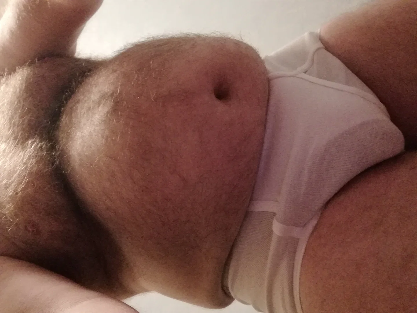 The UK Hairy Bear profile banner