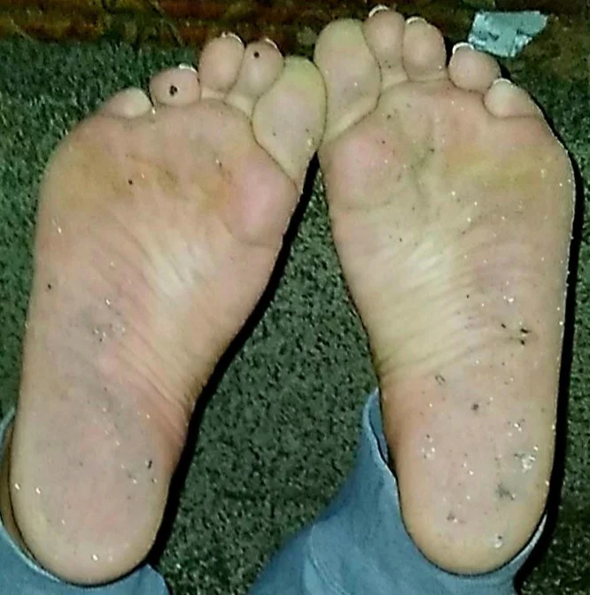 Krissy Soles