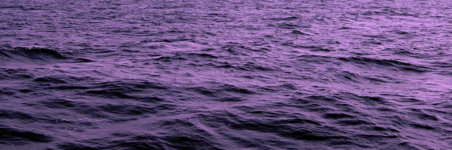  profile banner
