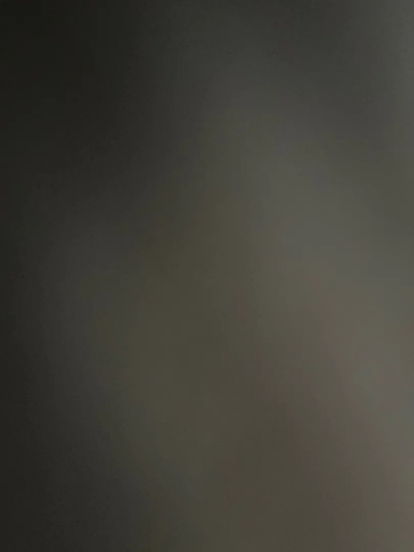 Delaney profile banner