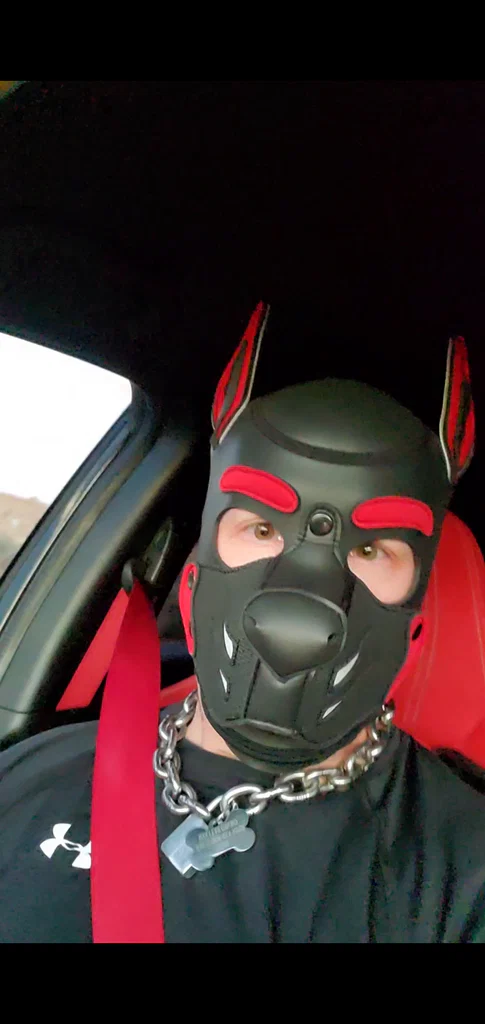 Ozkar ThePup's avatar