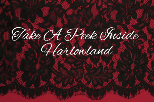 Harlow Wonderland profile banner