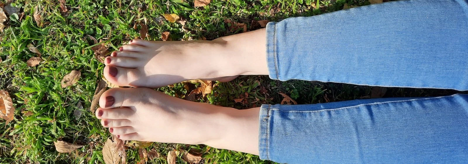 Pandora's Socks profile banner