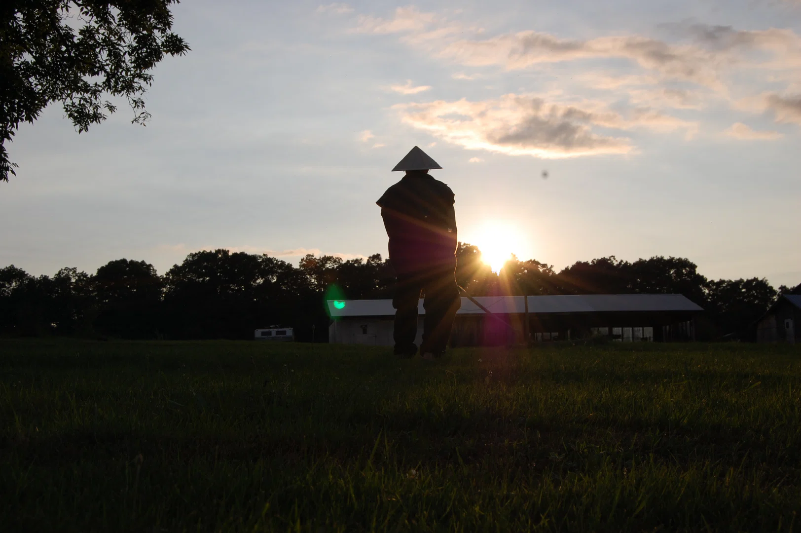 M. Lewis Motter profile banner