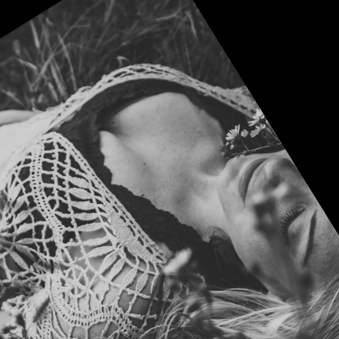 Stella Rose profile banner