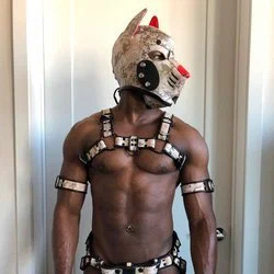 Jabarri Pup's avatar