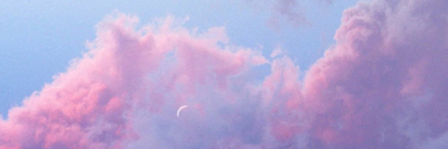 Sweet Soles profile banner