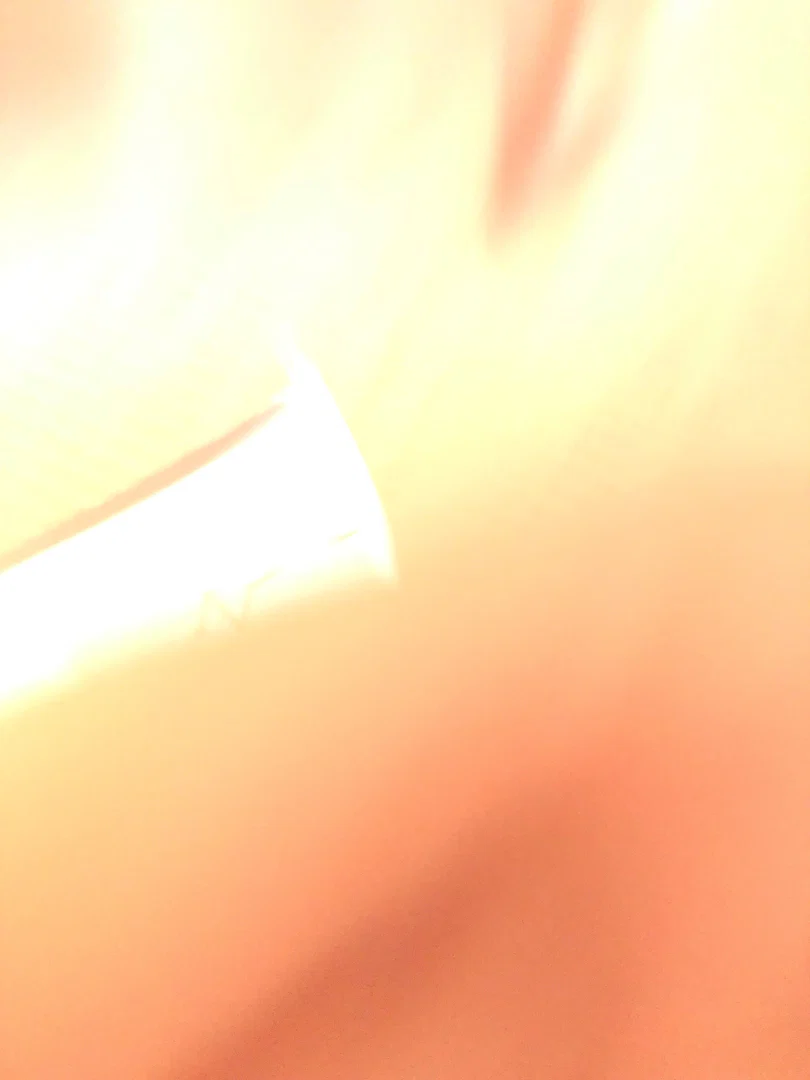 Aussie profile banner