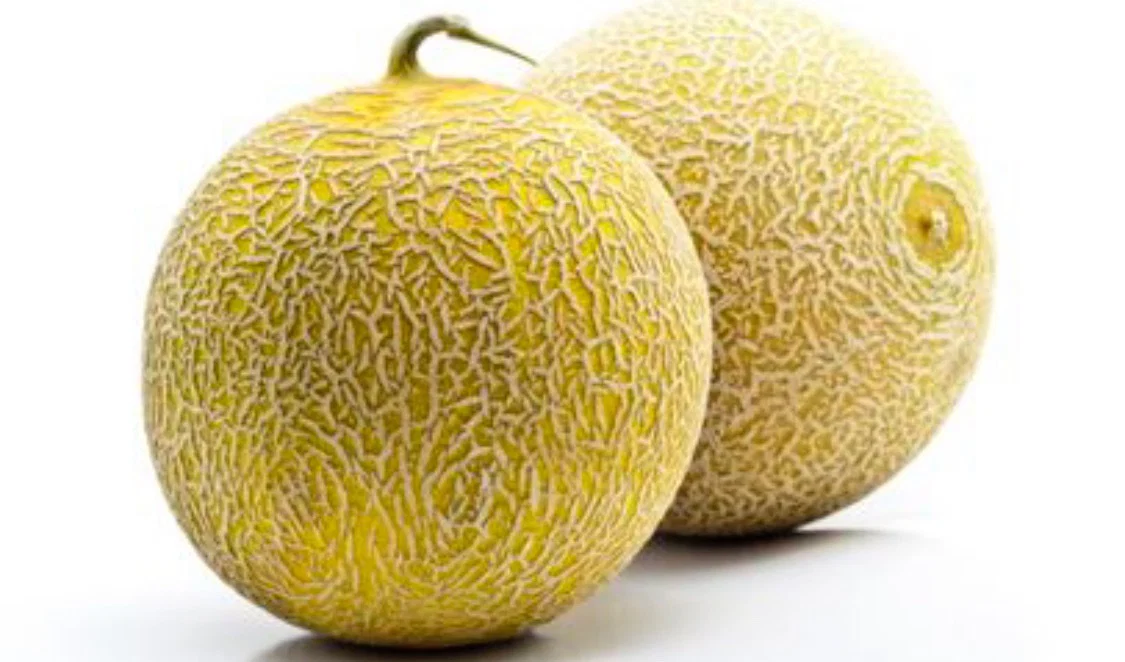 sandramaria profile banner