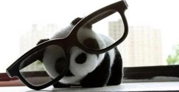 π PandaBear π profile banner