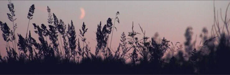 ๐Mindy๐ profile banner