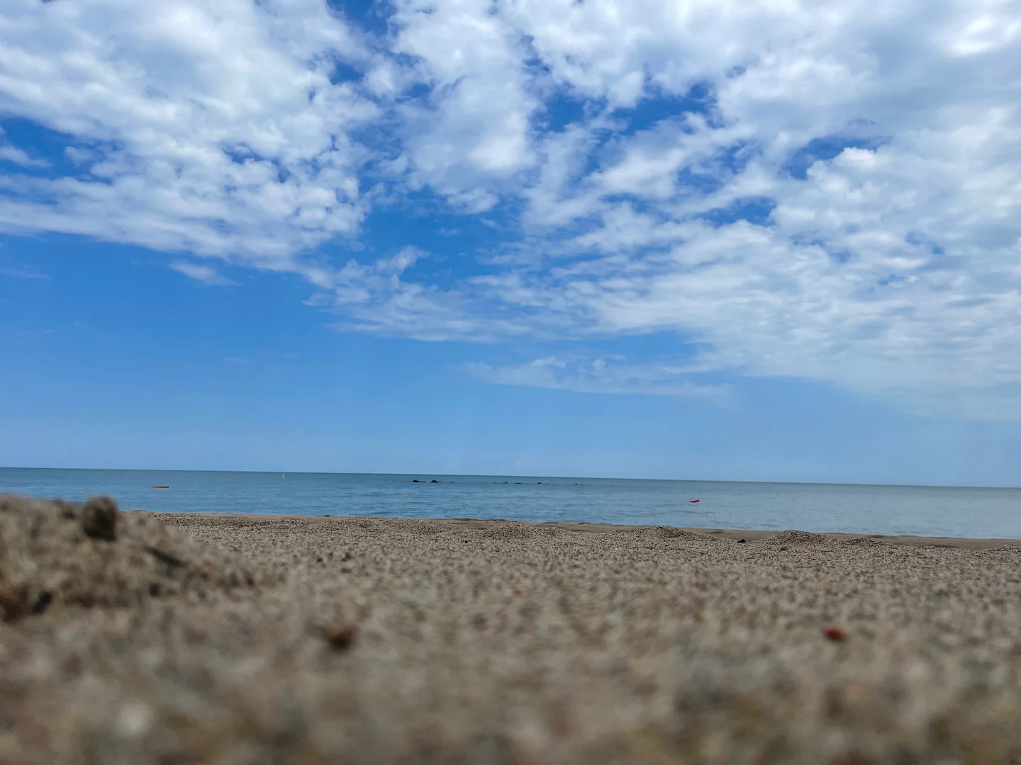 Shelbie profile banner