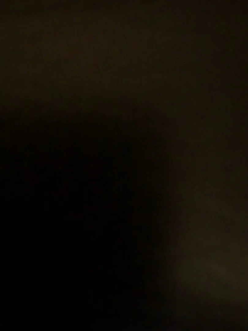 u124247714 profile banner