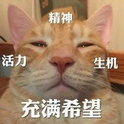 在自然之后's avatar