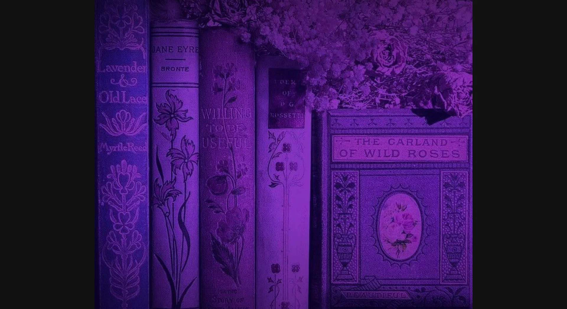 Rose profile banner