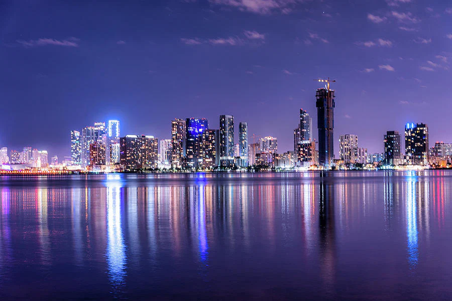 BoredMiamiBanker profile banner