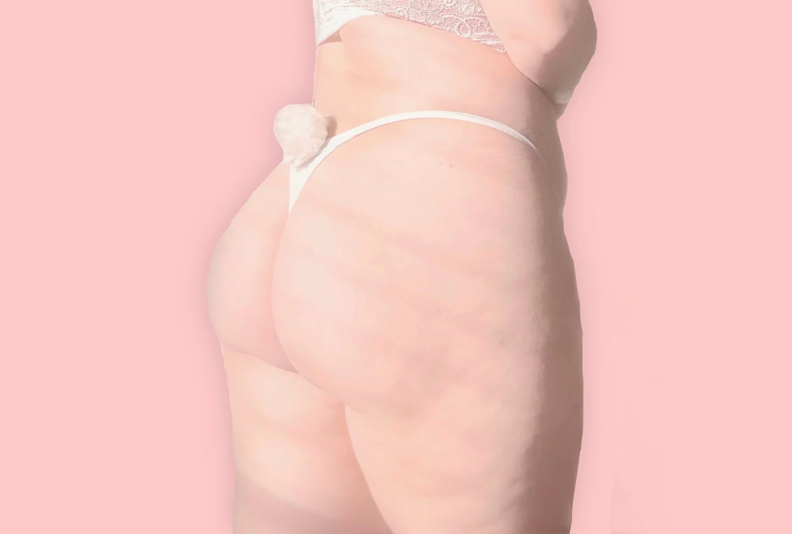 puppy profile banner