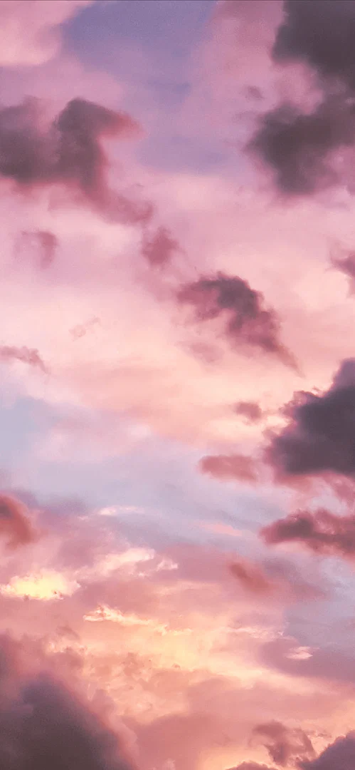Princess profile banner