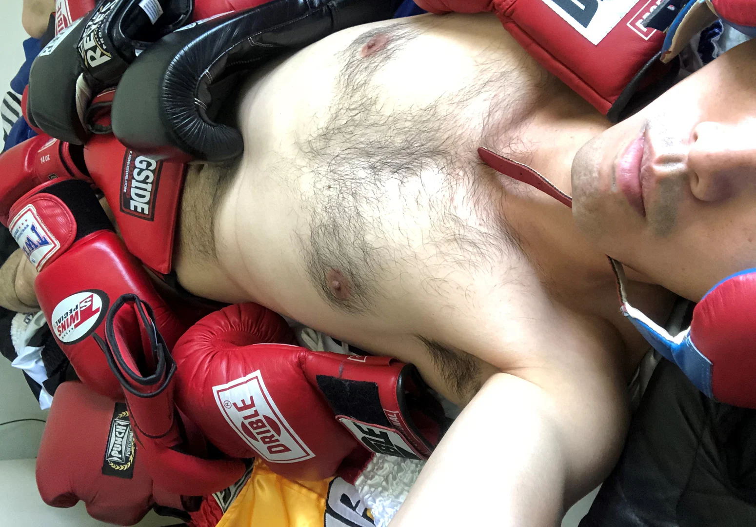 Joeboxerbr profile banner