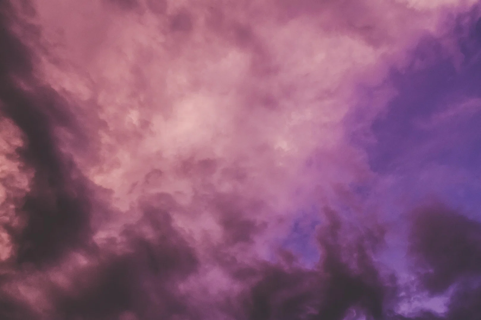 tummytings profile banner