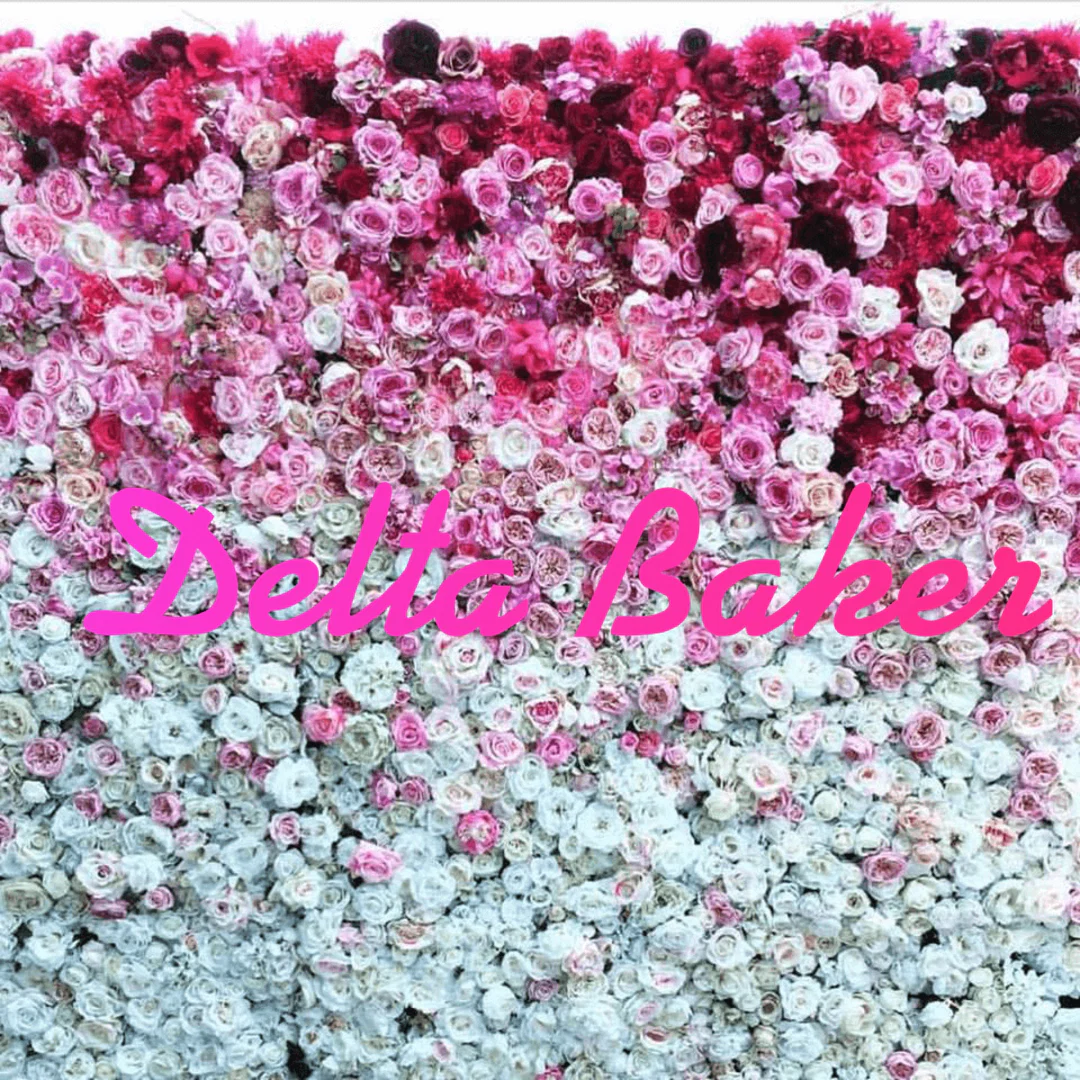 Delta Baker profile banner