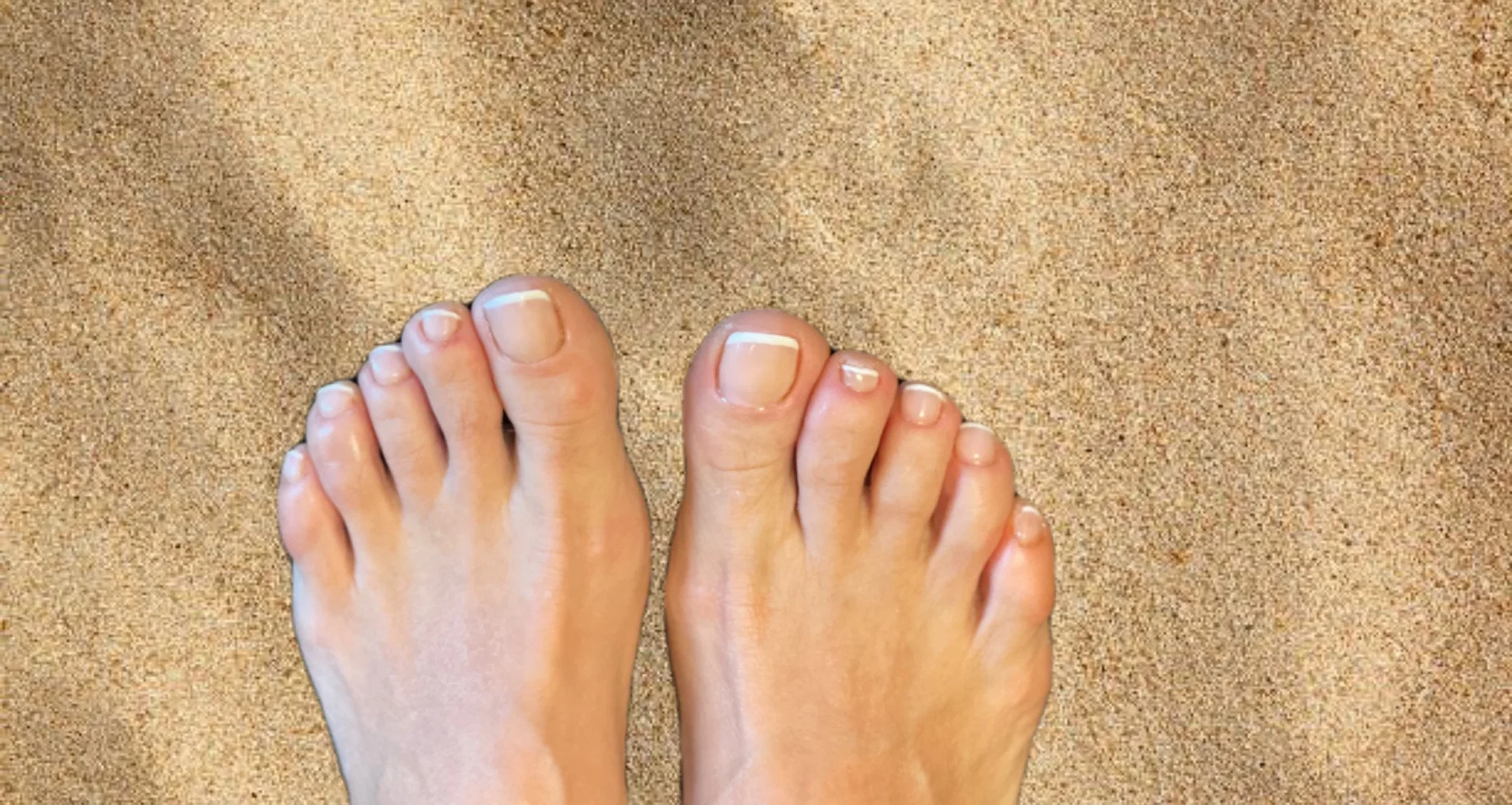 Happy Feet profile banner