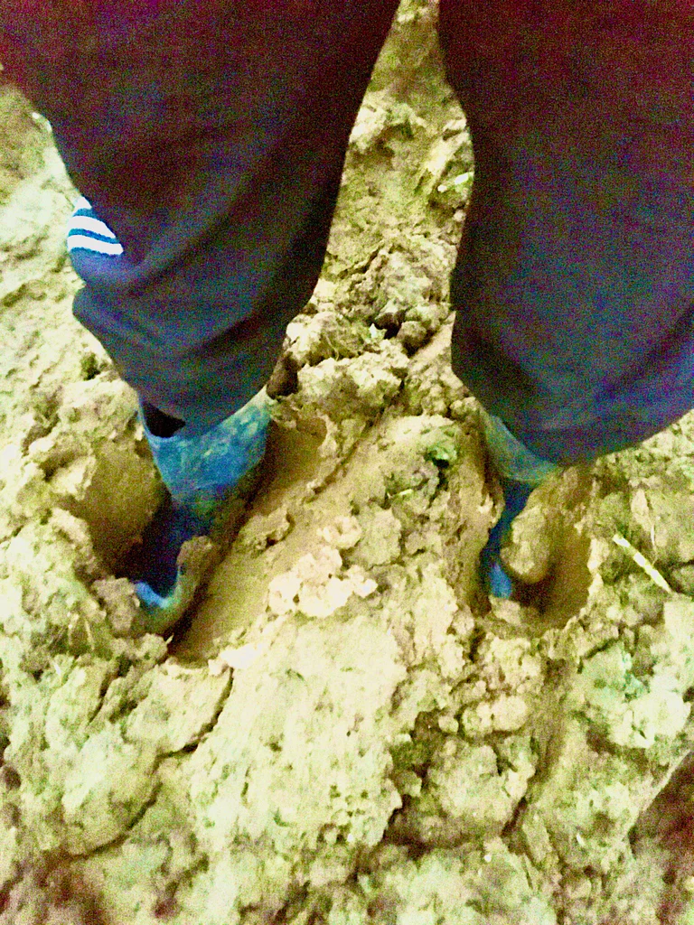 Muddy Side Up