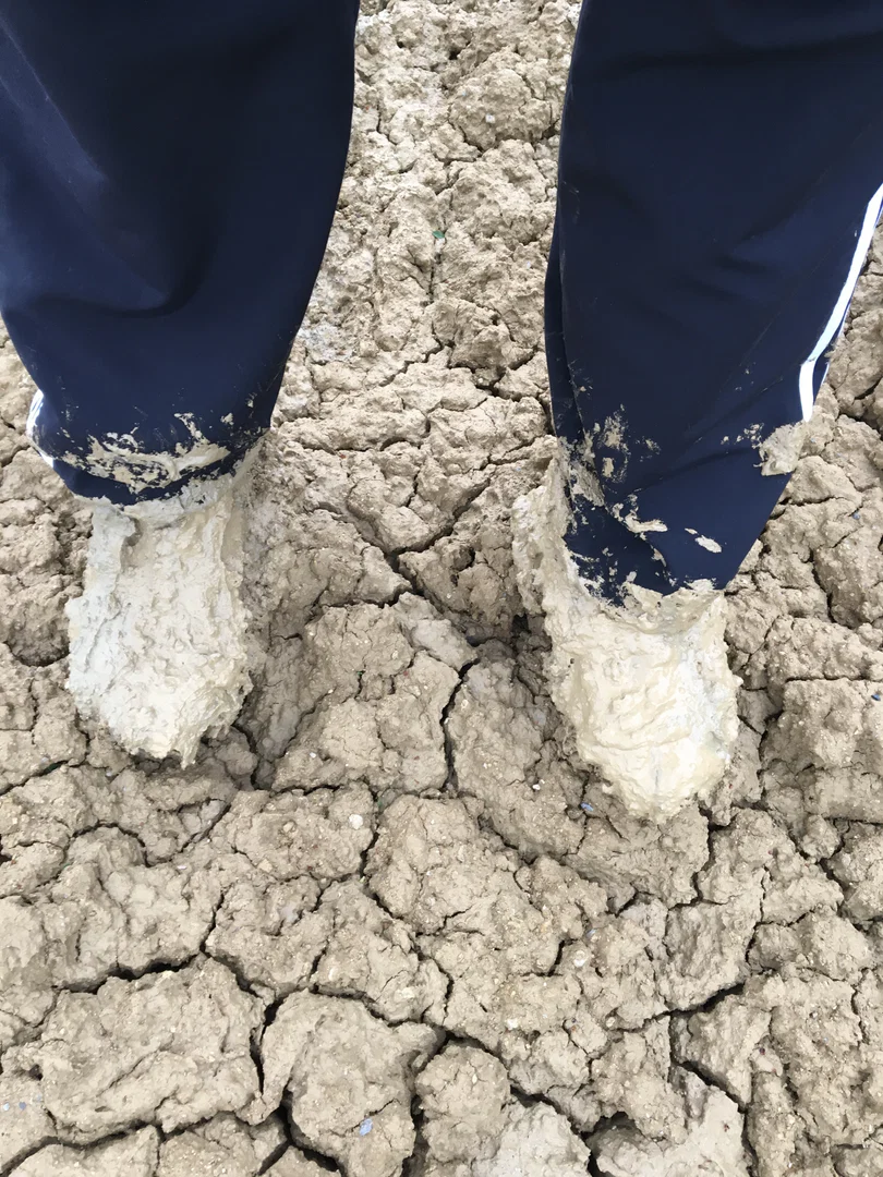 Muddy Side Up profile banner