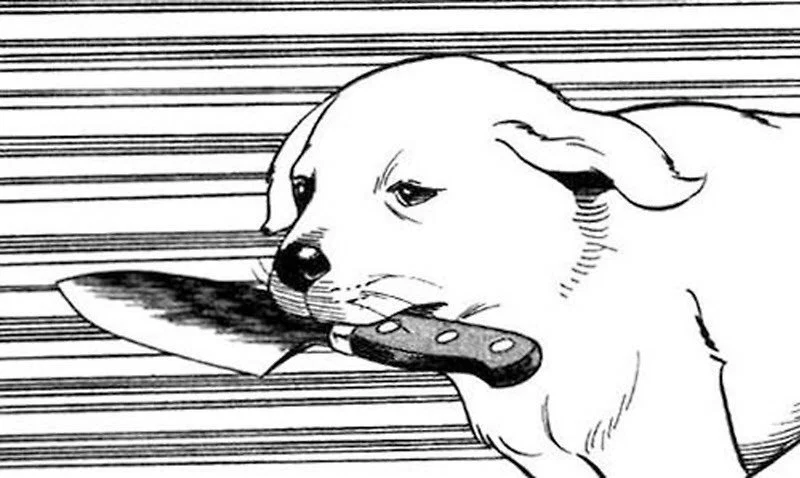 Amy Asteroid profile banner