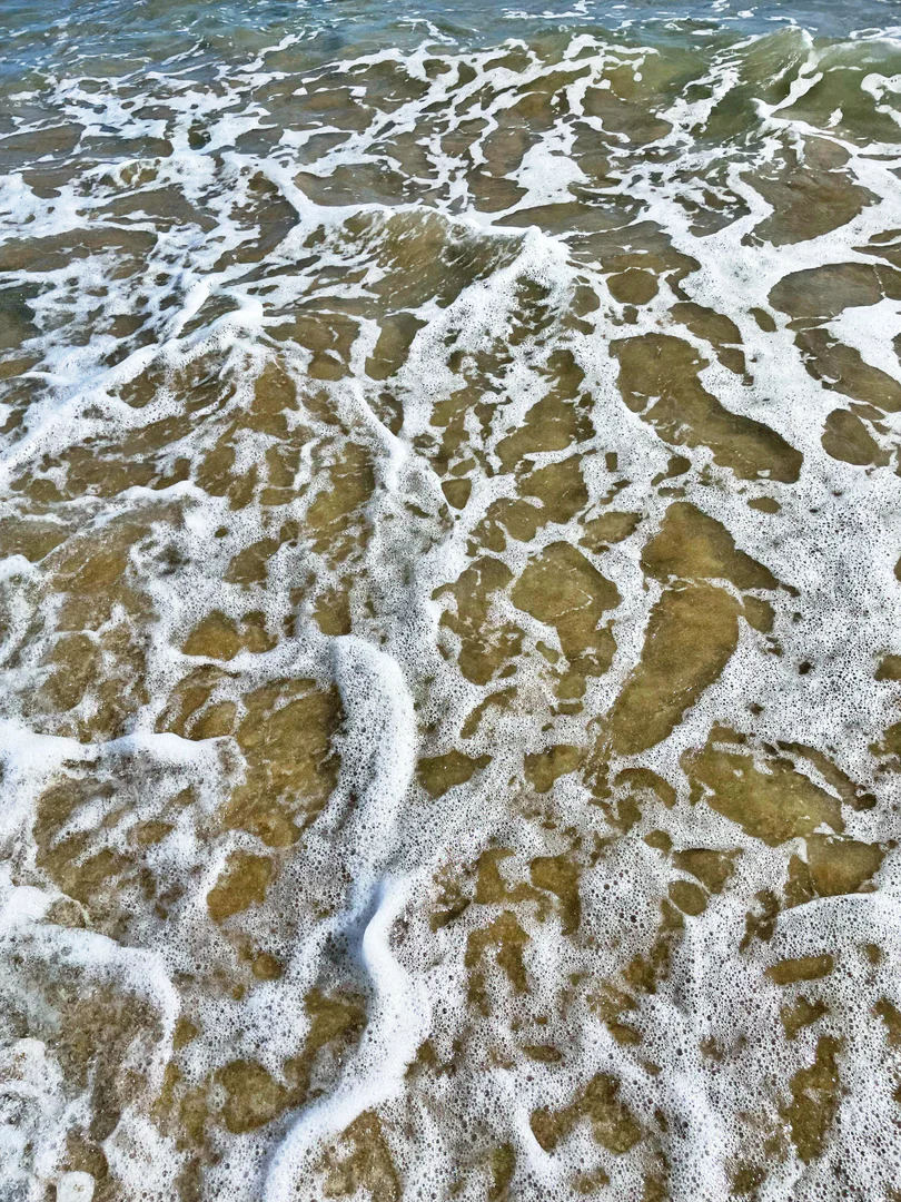 Laidbackbeach profile banner