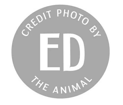 Ed The Animal's avatar