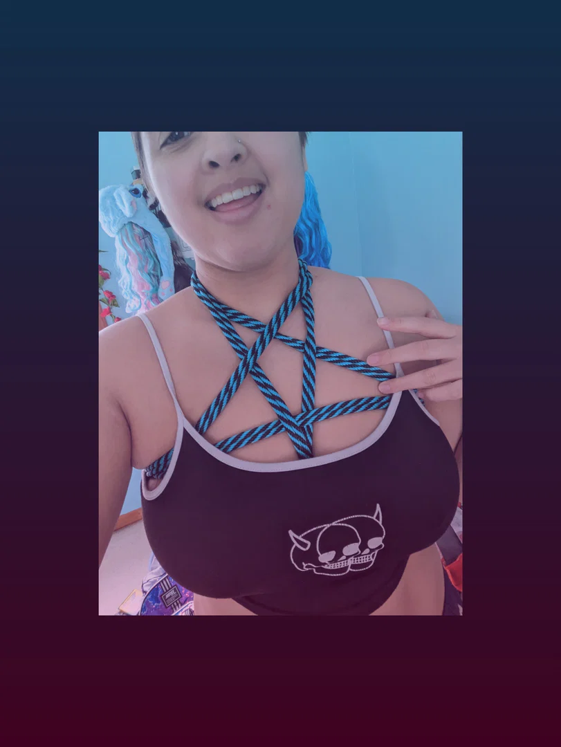 LilFox profile banner