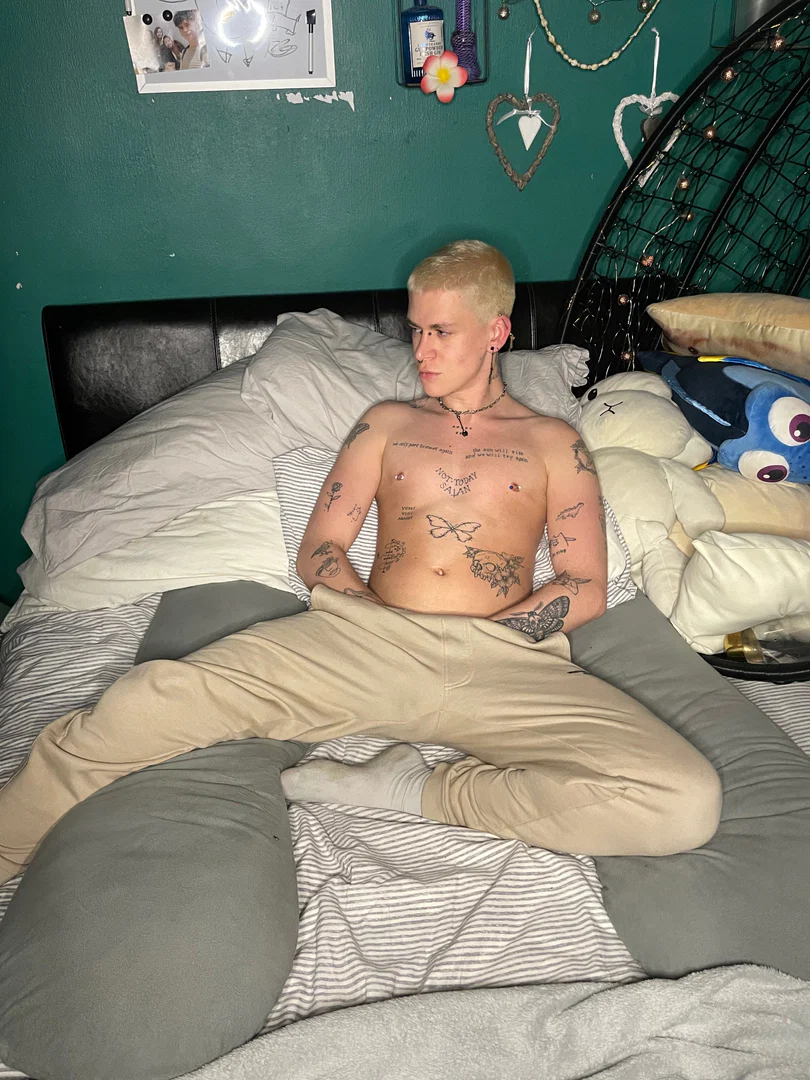 Toddytwink profile banner