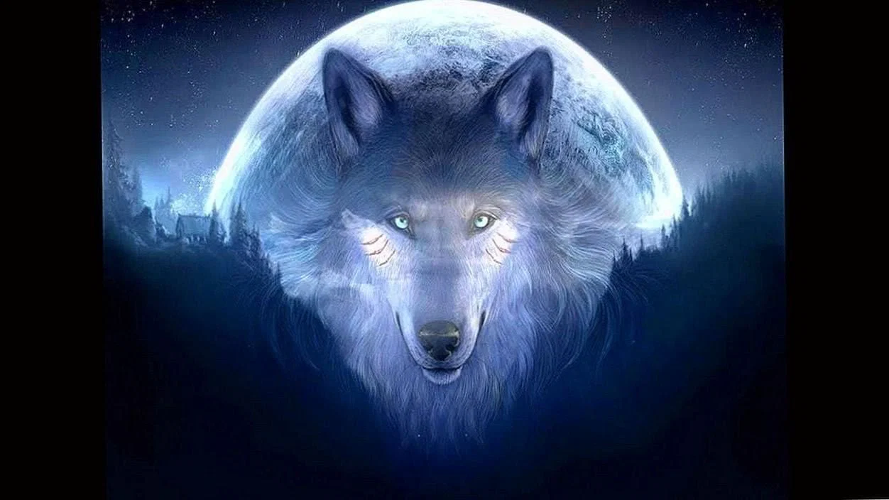 Wolf Sketch profile banner