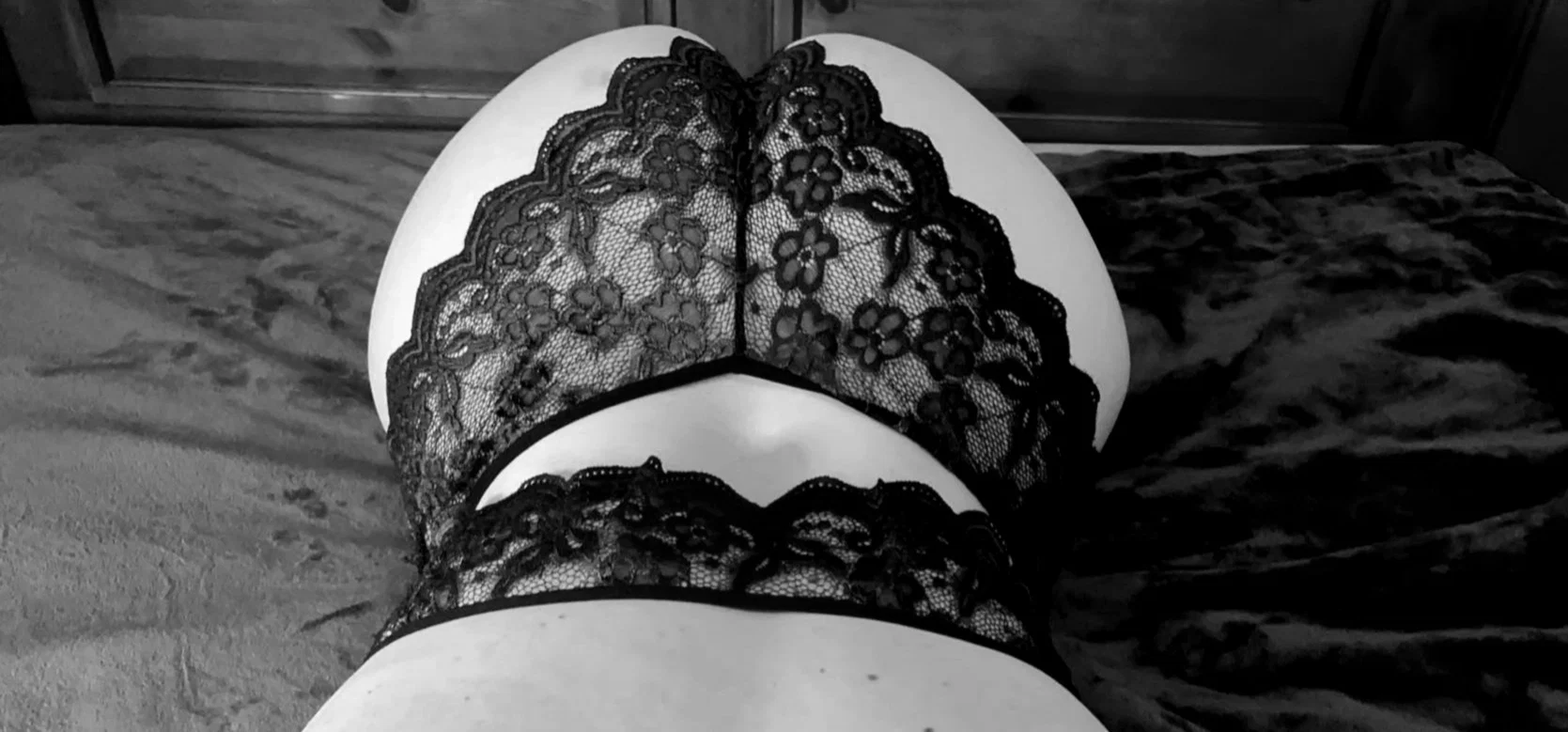 LustfulTurtle profile banner