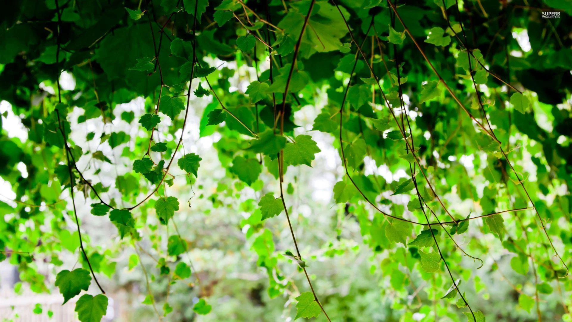 Jess.xo π profile banner