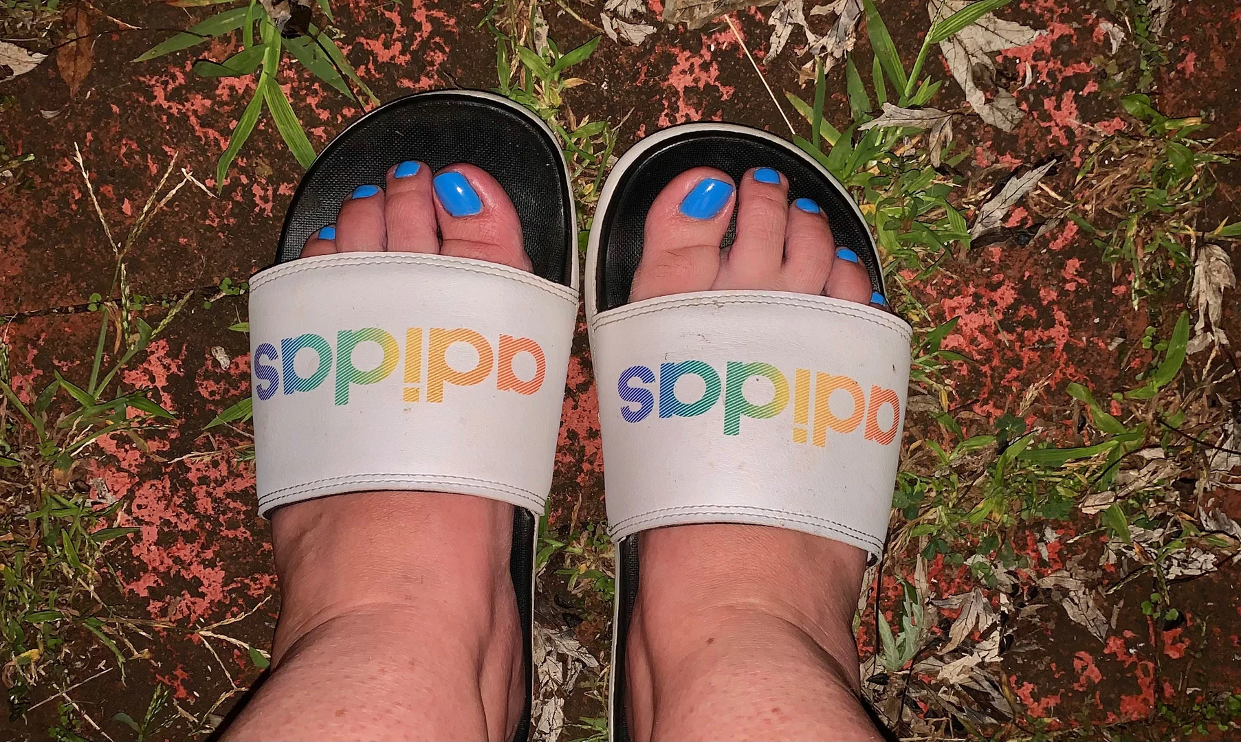 Kandi’s Sweet Feet profile banner