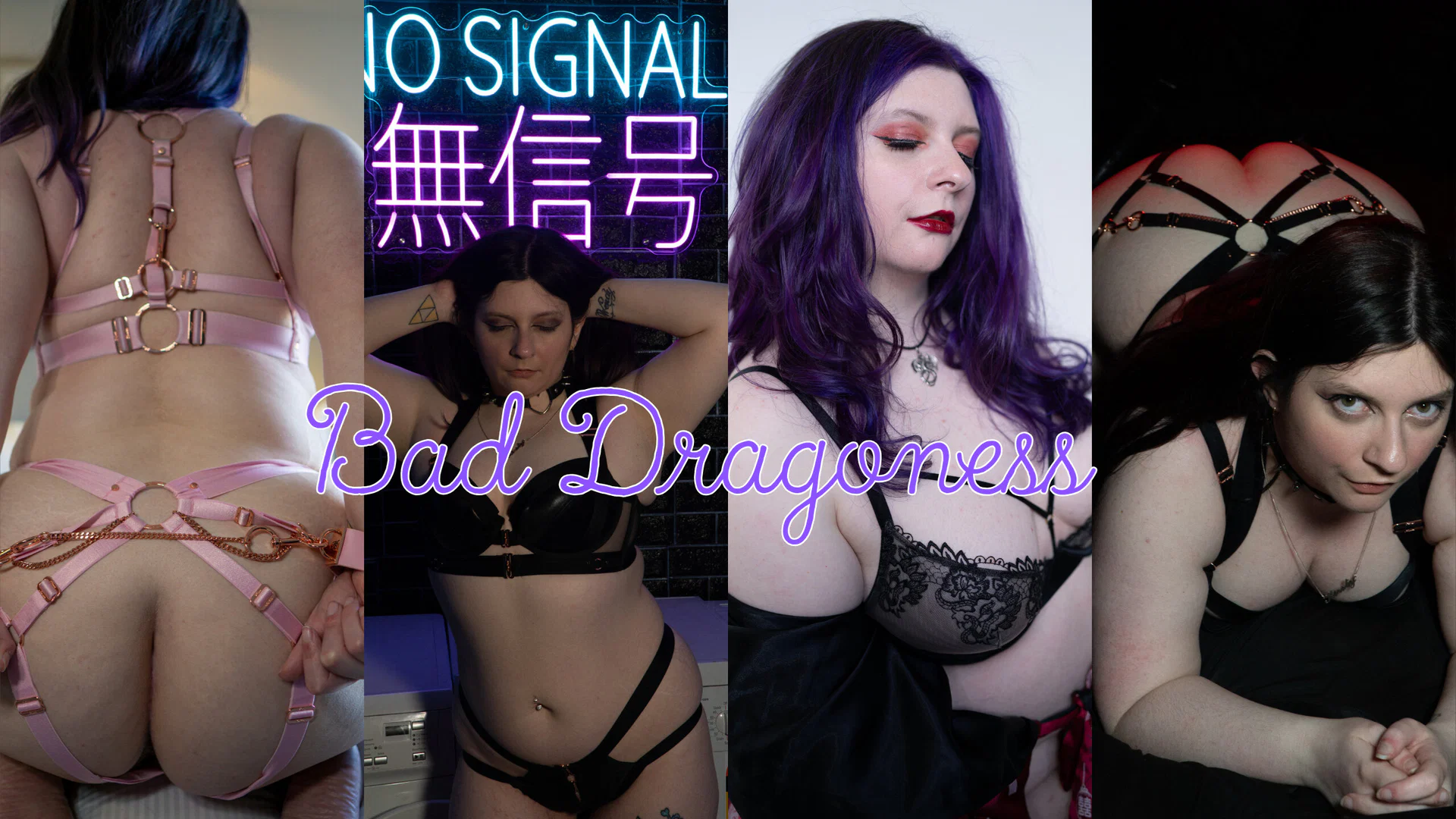 Bad Dragoness profile banner