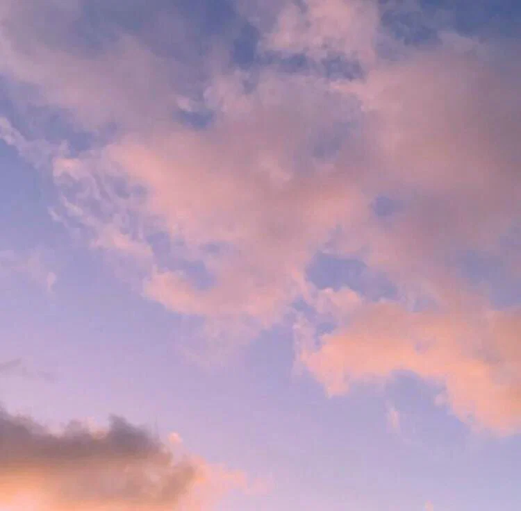 Ballerina Toes profile banner