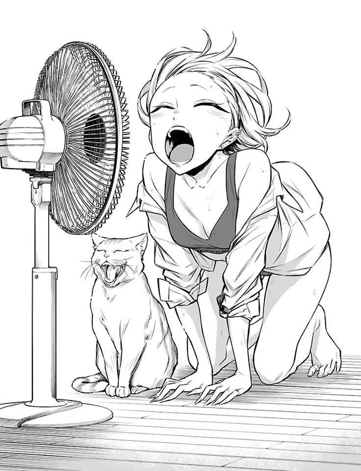 Princess profile banner