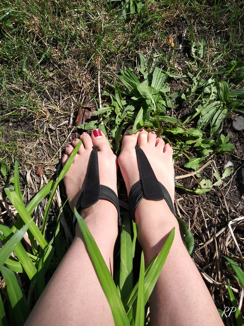 Nicolette_ChunkyToes profile banner